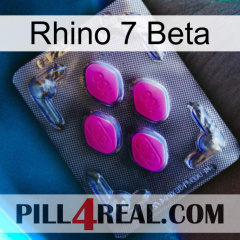 Rhino 7 Beta 02